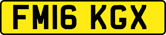 FM16KGX