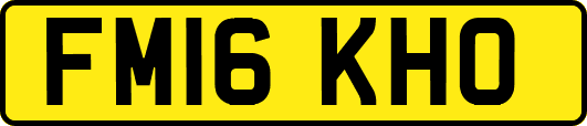 FM16KHO