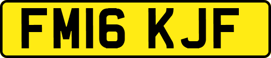 FM16KJF