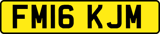 FM16KJM