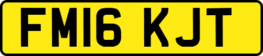 FM16KJT