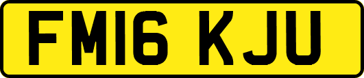 FM16KJU