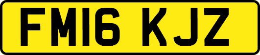 FM16KJZ