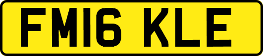 FM16KLE