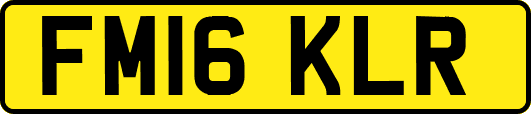 FM16KLR