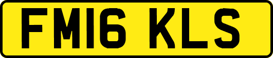 FM16KLS