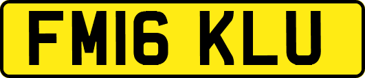 FM16KLU
