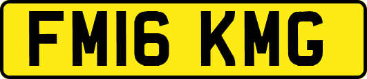 FM16KMG