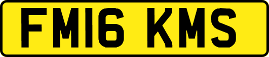FM16KMS