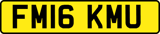 FM16KMU