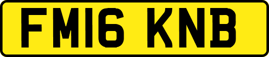 FM16KNB