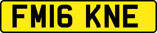 FM16KNE