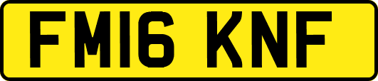 FM16KNF