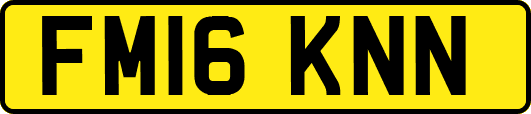 FM16KNN