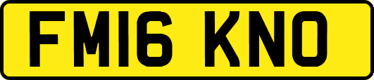 FM16KNO