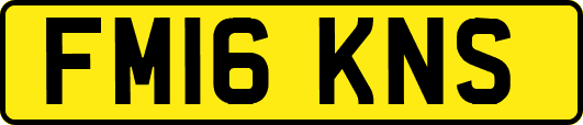 FM16KNS