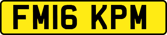 FM16KPM