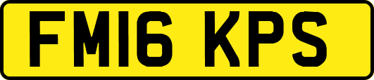 FM16KPS