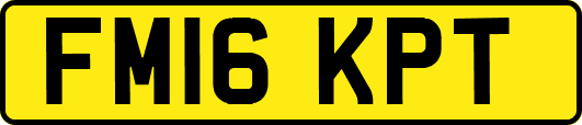 FM16KPT