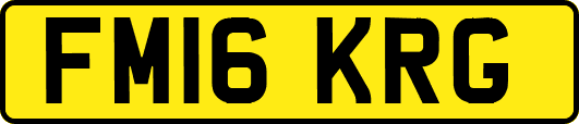 FM16KRG