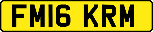 FM16KRM