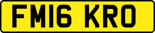 FM16KRO