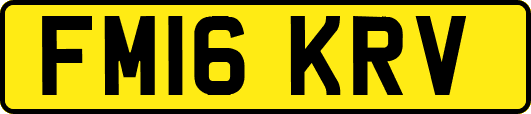 FM16KRV