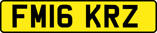 FM16KRZ