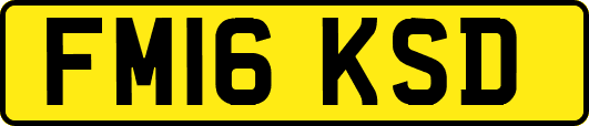 FM16KSD