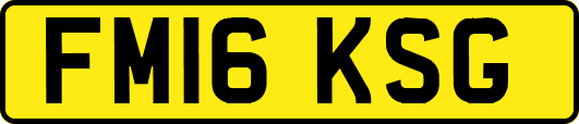 FM16KSG