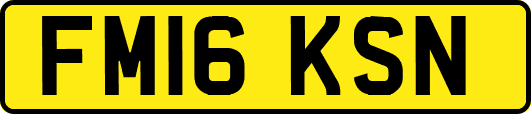 FM16KSN