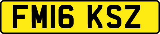 FM16KSZ