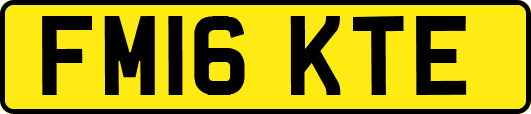 FM16KTE