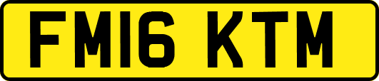 FM16KTM