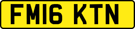 FM16KTN