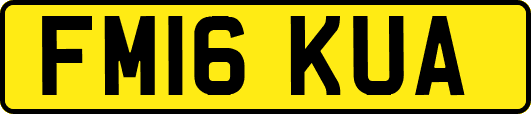 FM16KUA