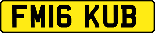 FM16KUB