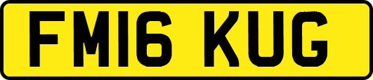 FM16KUG