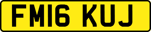 FM16KUJ