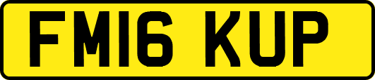 FM16KUP