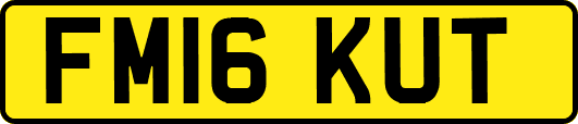 FM16KUT