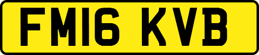FM16KVB