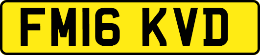 FM16KVD