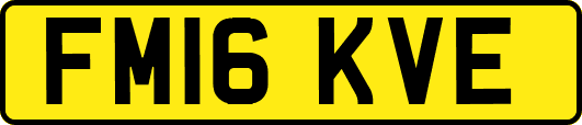 FM16KVE