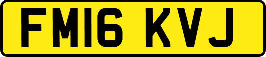 FM16KVJ