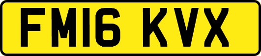 FM16KVX