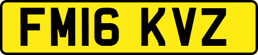 FM16KVZ