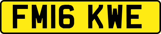 FM16KWE