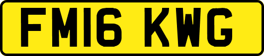 FM16KWG