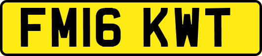 FM16KWT